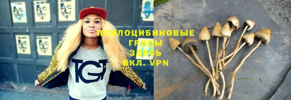 метадон Арсеньев