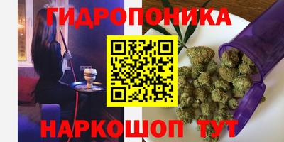 гашик Ногинск
